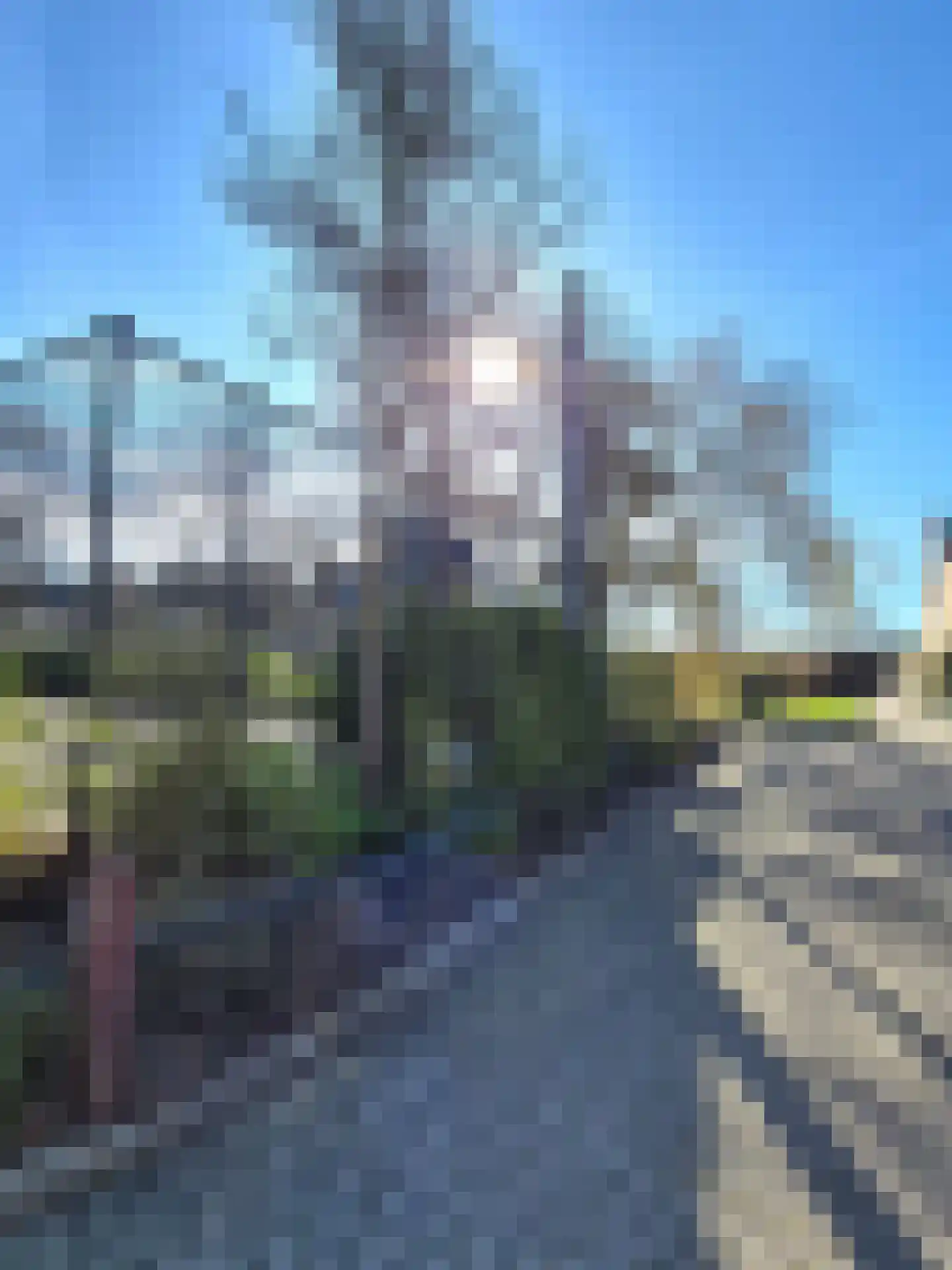 Viool 44 De Lier thumbnail 46