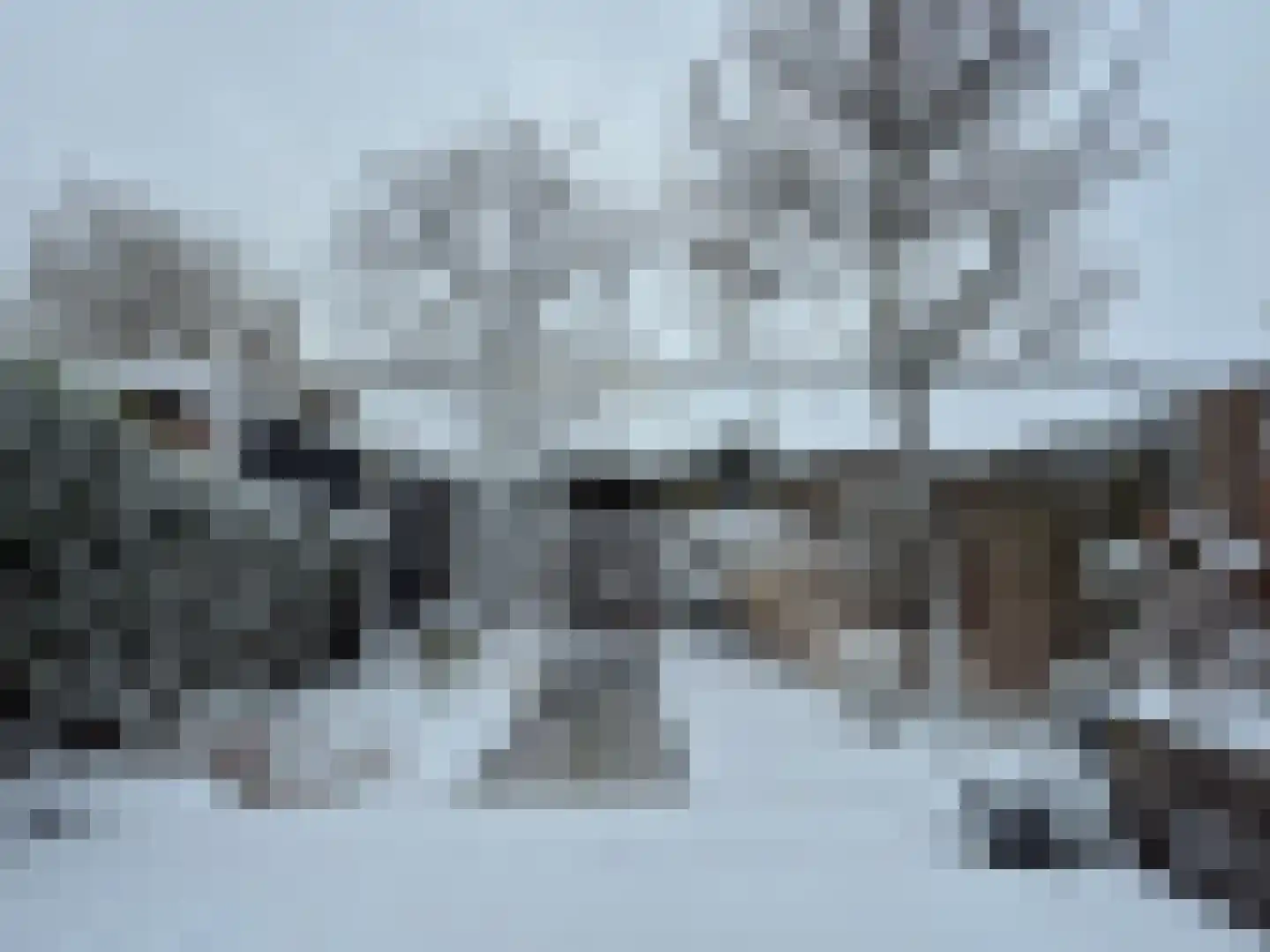 Viool 44 De Lier thumbnail 7