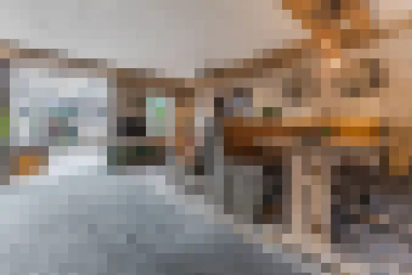 Viool 44 De Lier thumbnail 8