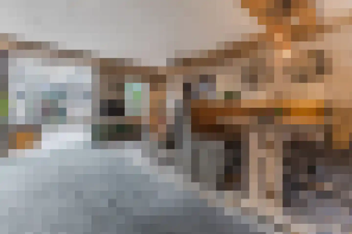 Viool 44 De Lier thumbnail 9