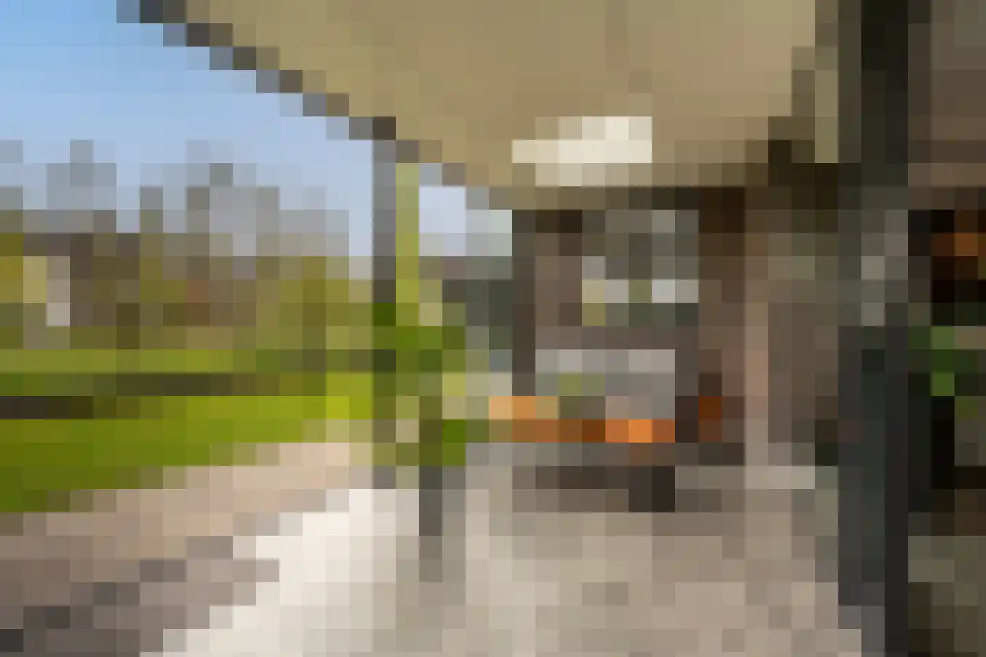 Viool 53 Oud-Beijerland thumbnail 53