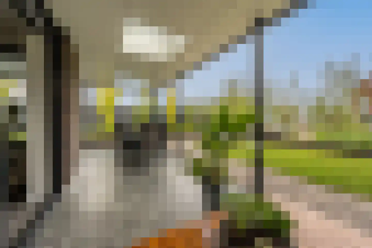 Viool 53 Oud-Beijerland thumbnail 54