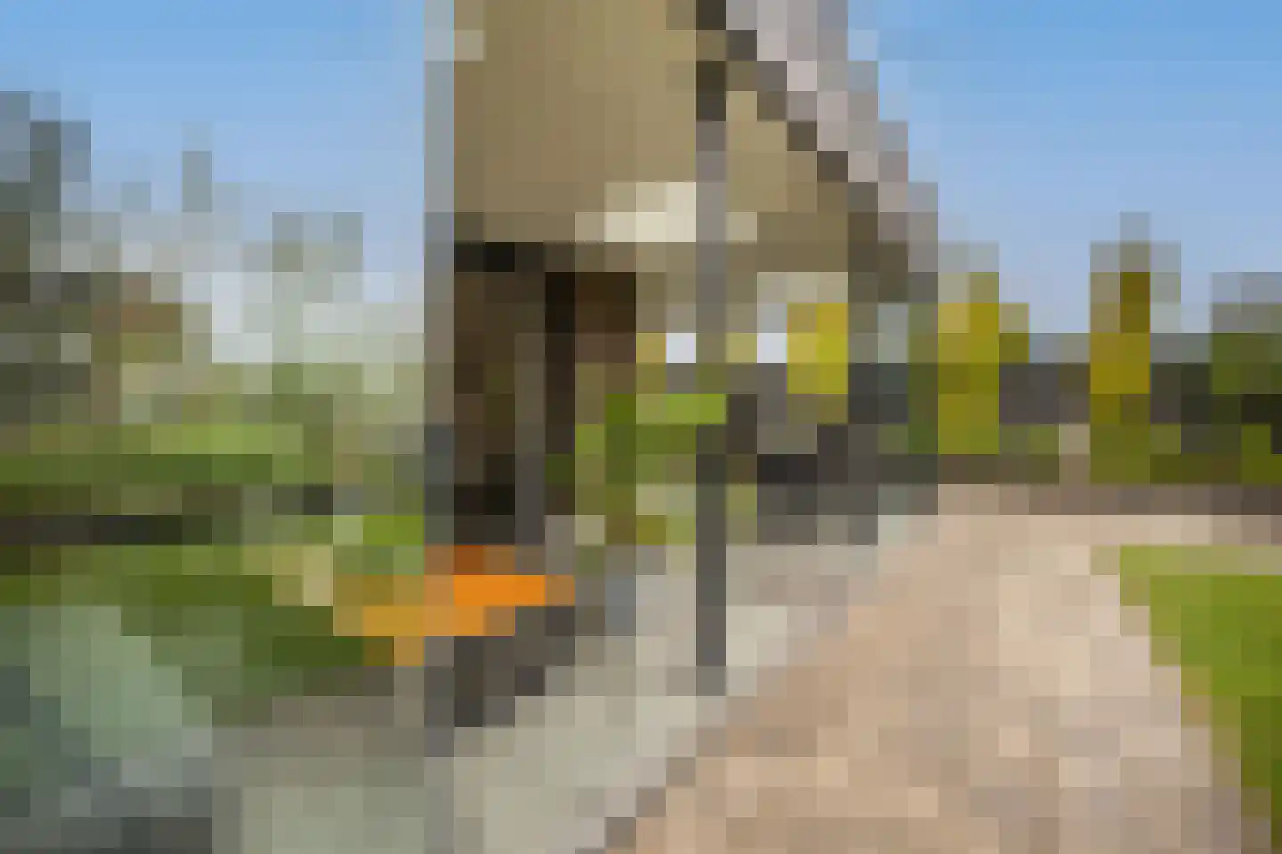 Viool 53 Oud-Beijerland thumbnail 55