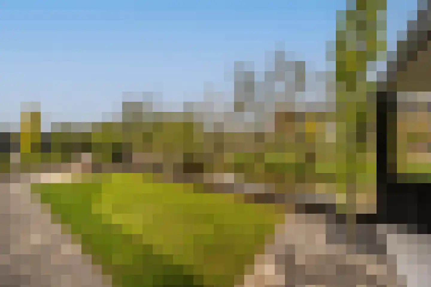 Viool 53 Oud-Beijerland thumbnail 59