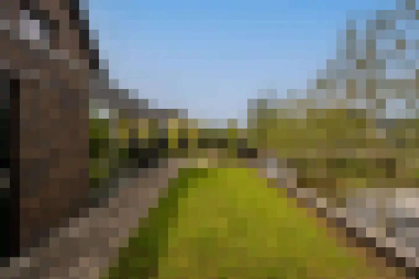 Viool 53 Oud-Beijerland thumbnail 60