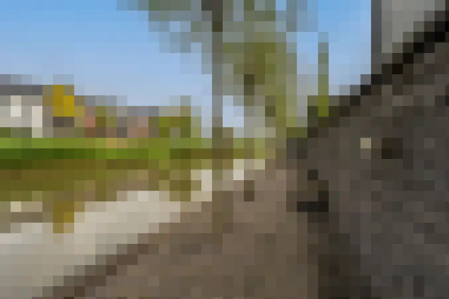 Viool 53 Oud-Beijerland thumbnail 62