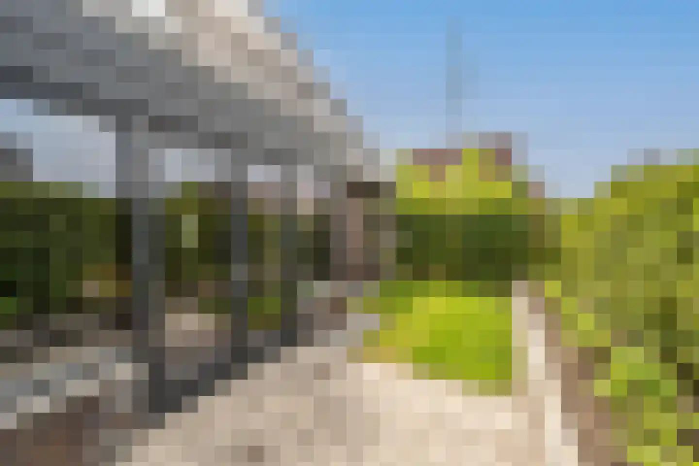Viool 53 Oud-Beijerland thumbnail 63