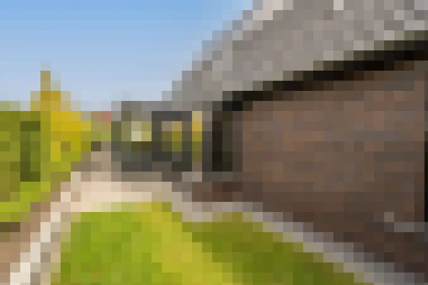 Viool 53 Oud-Beijerland thumbnail 64