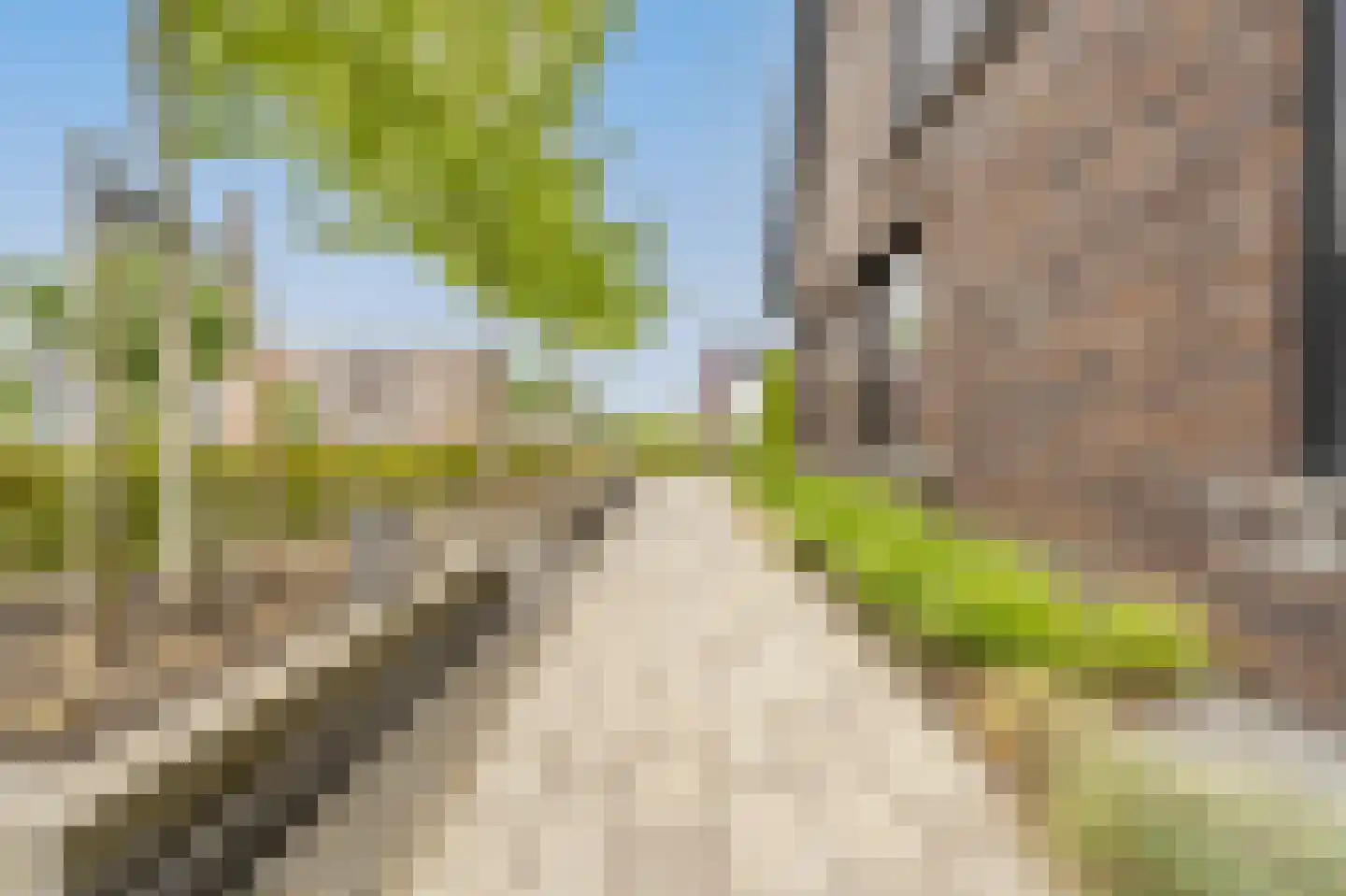 Viool 53 Oud-Beijerland thumbnail 65