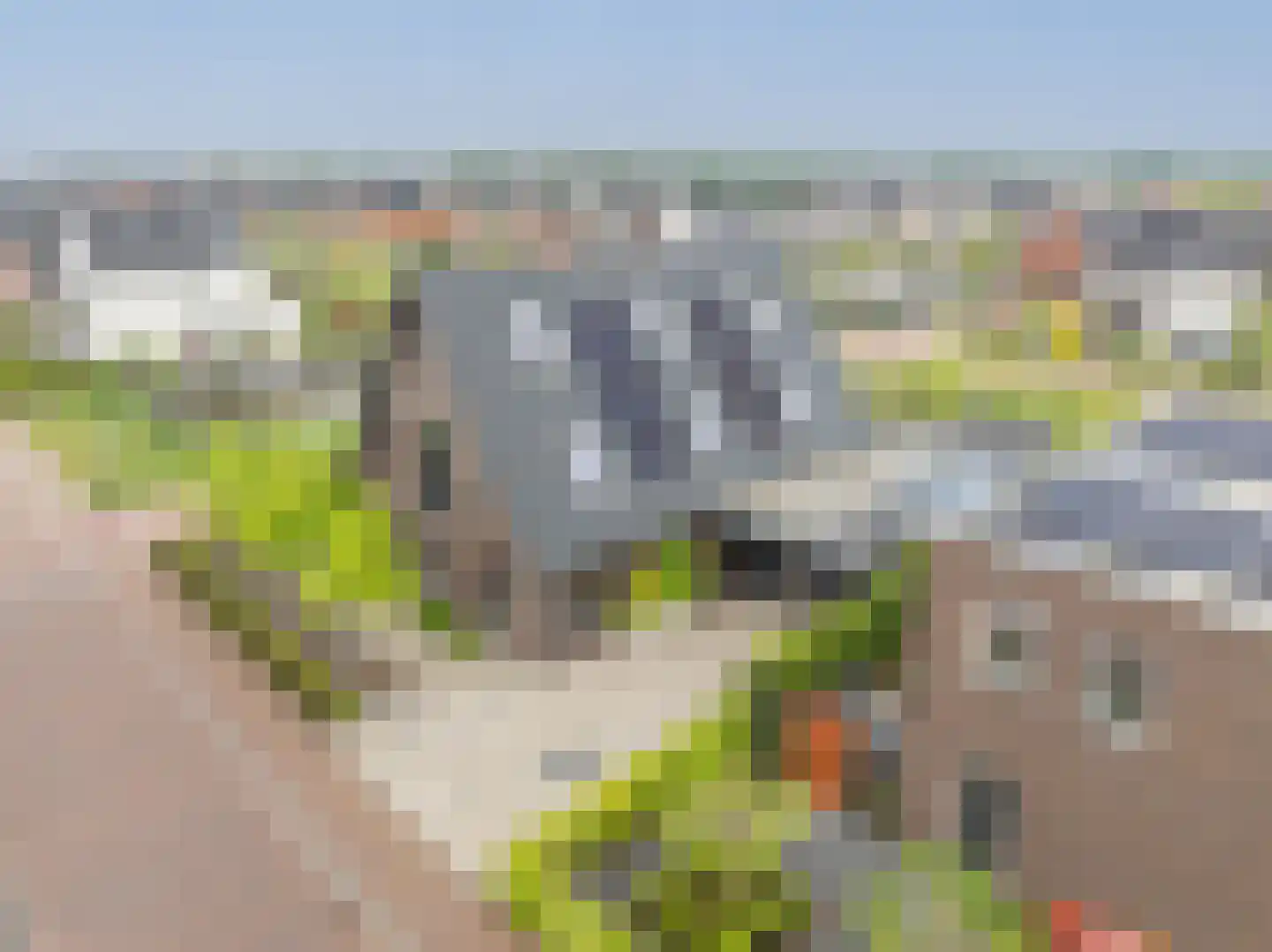 Viool 53 Oud-Beijerland thumbnail 69