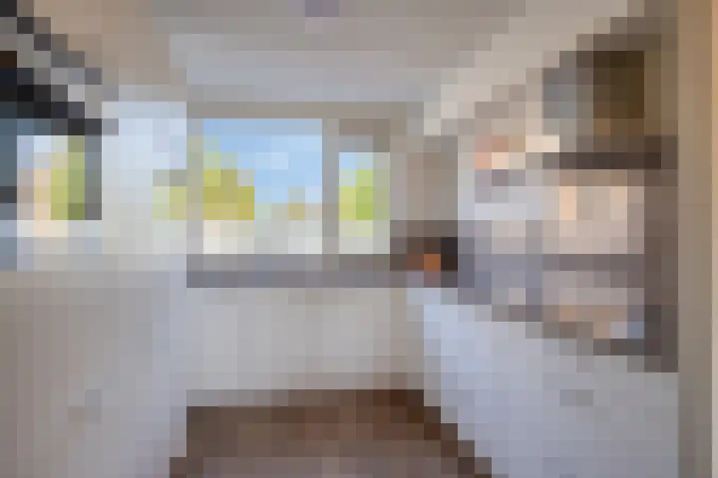 Viool 66 De Lier thumbnail 10