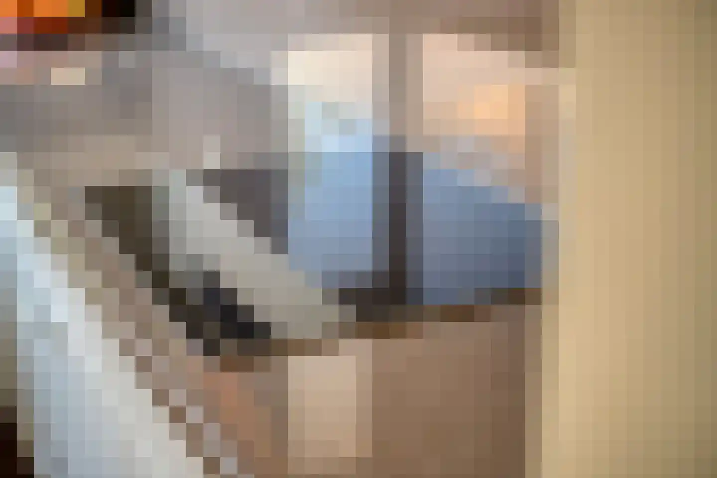 Viool 66 De Lier thumbnail 11