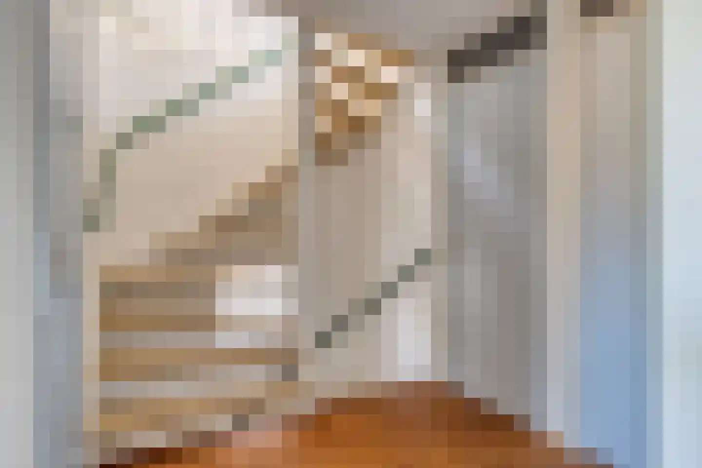 Viool 66 De Lier thumbnail 12