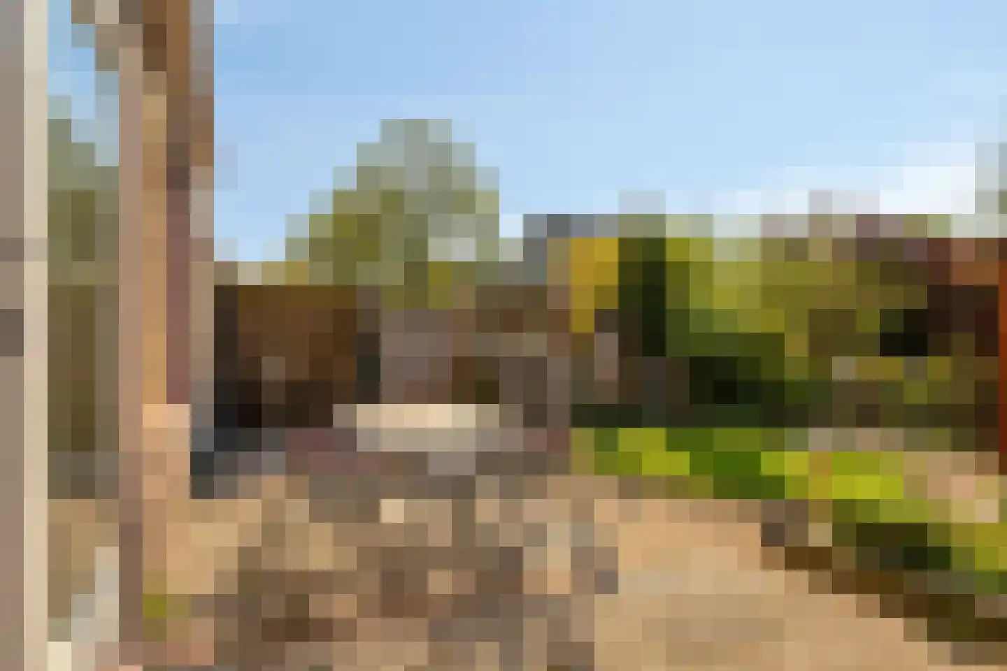 Viool 66 De Lier thumbnail 27