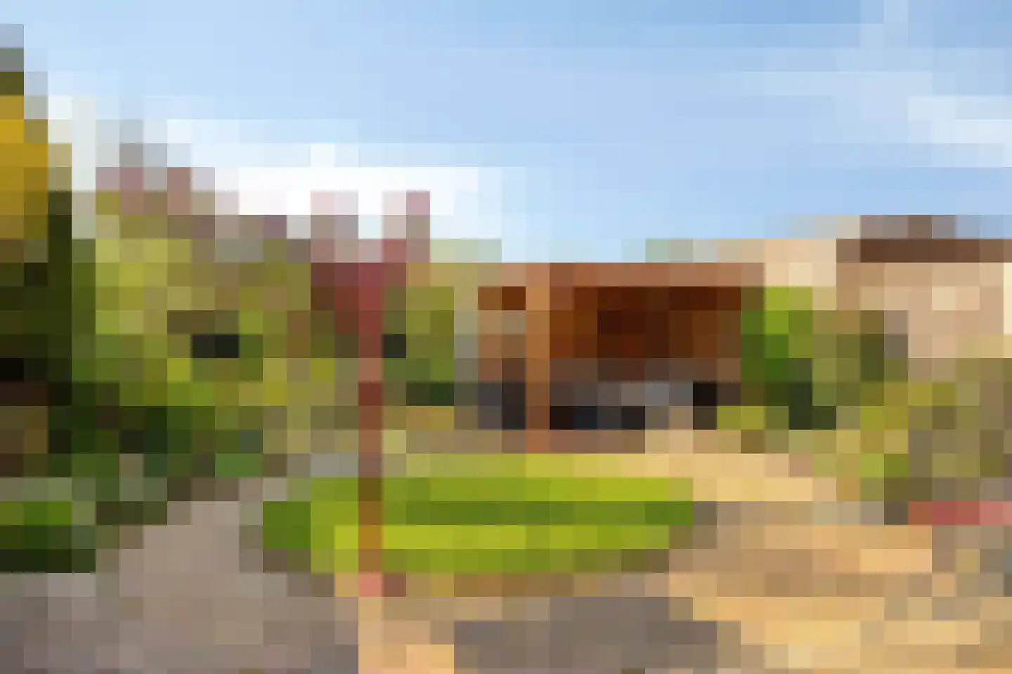 Viool 66 De Lier thumbnail 28