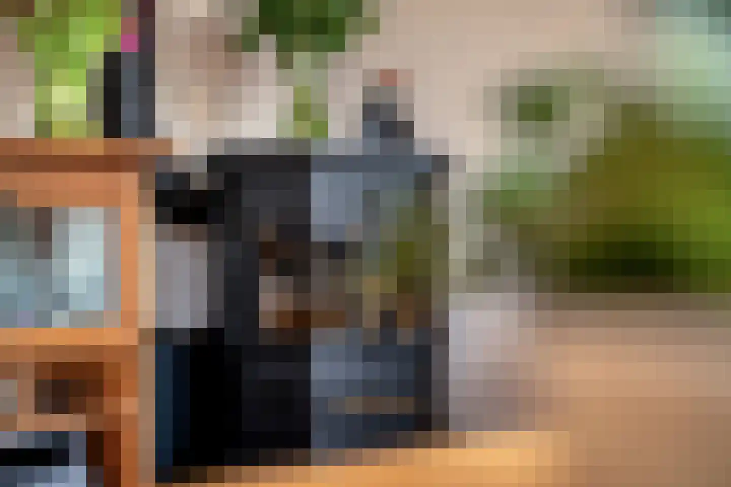 Viool 66 De Lier thumbnail 9