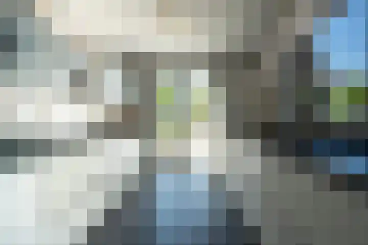 Viool 7 Oud-Beijerland thumbnail 13