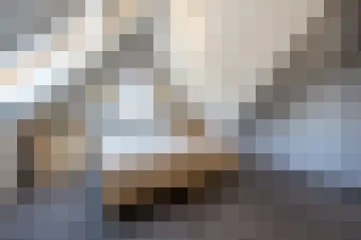 Viool 7 Oud-Beijerland thumbnail 33
