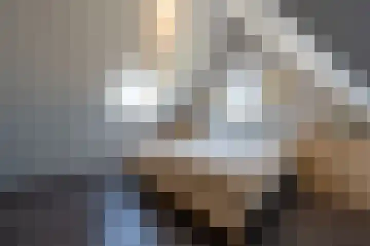 Viool 7 Oud-Beijerland thumbnail 34