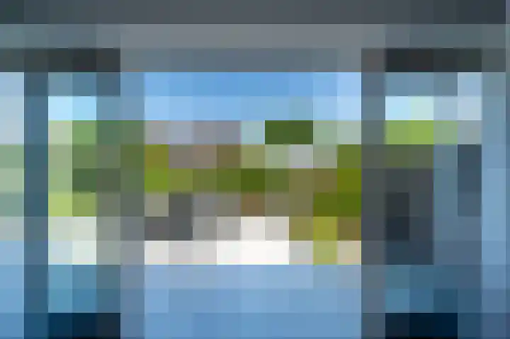 Viool 7 Oud-Beijerland thumbnail 36