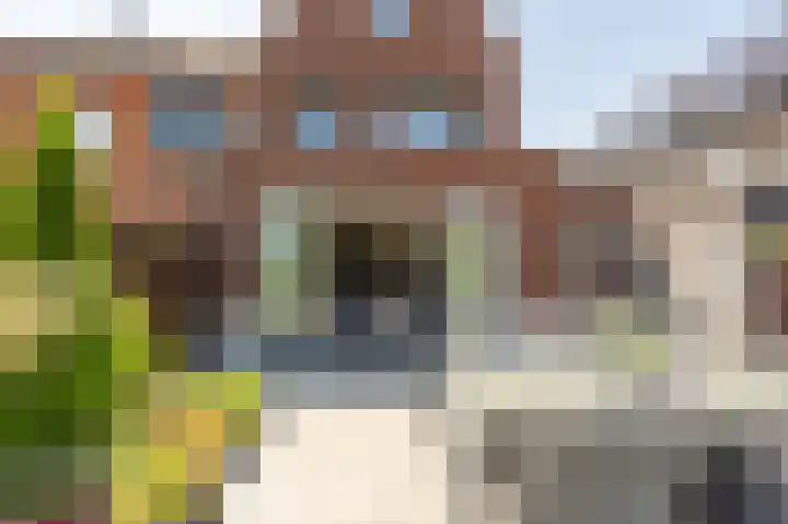 Viool 7 Oud-Beijerland thumbnail 37