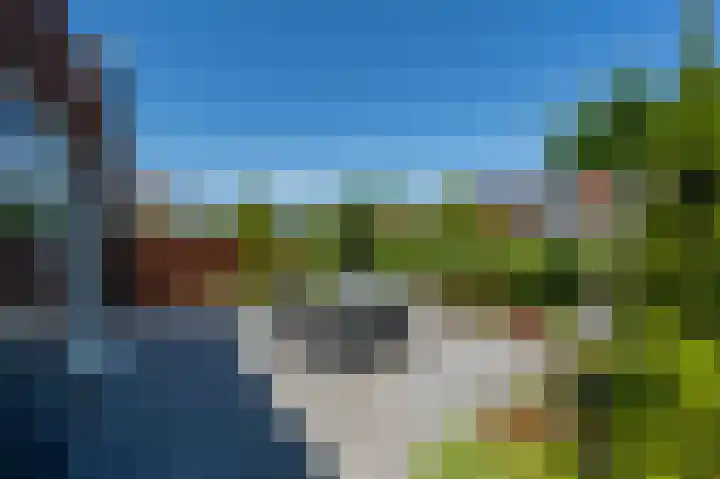Viool 7 Oud-Beijerland thumbnail 38
