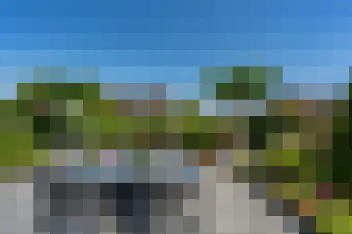 Viool 7 Oud-Beijerland thumbnail 39