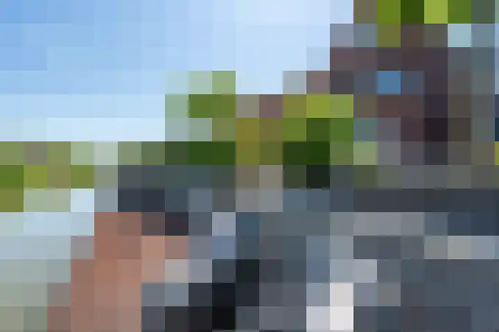 Viool 7 Oud-Beijerland thumbnail 4