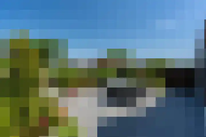 Viool 7 Oud-Beijerland thumbnail 40