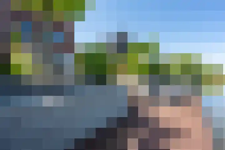 Viool 7 Oud-Beijerland thumbnail 43