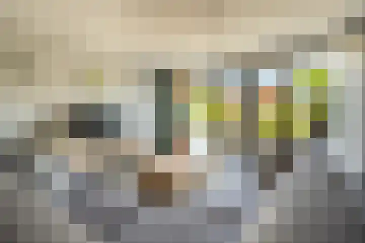 Viool 7 Oud-Beijerland thumbnail 7
