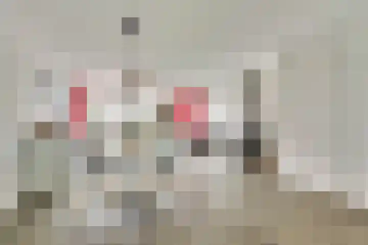 Viool 84 De Lier thumbnail 14