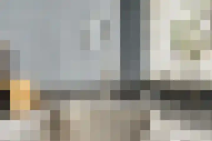 Viool 84 De Lier thumbnail 16