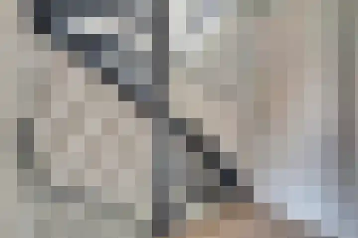 Viool 84 De Lier thumbnail 17