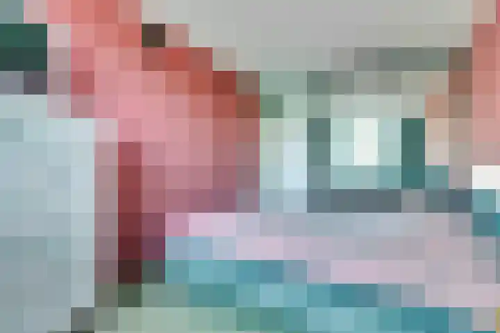 Viool 84 De Lier thumbnail 19