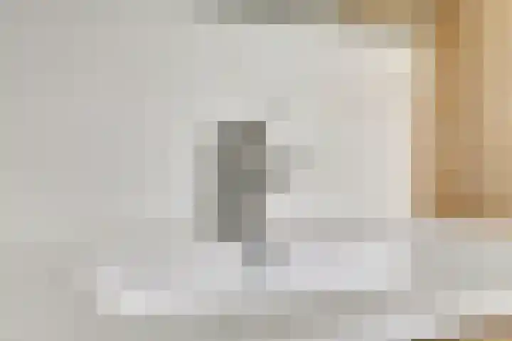 Viool 84 De Lier thumbnail 25
