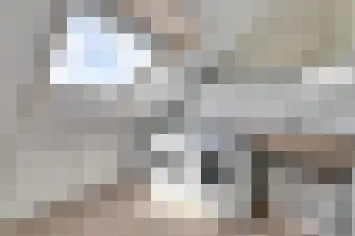 Viool 84 De Lier thumbnail 28
