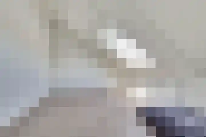 Viool 84 De Lier thumbnail 30