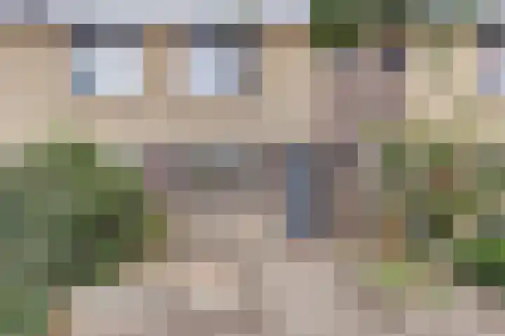 Viool 84 De Lier thumbnail 34