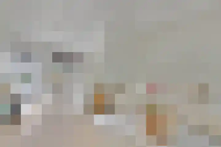 Vioolerf 14 's-Gravendeel thumbnail 10