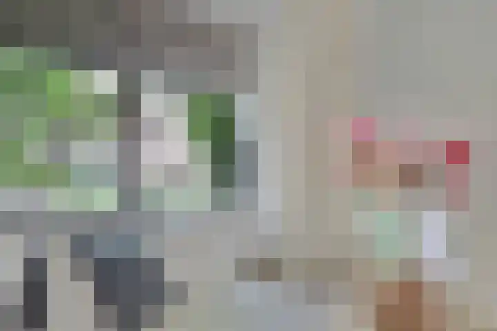 Vioolerf 14 's-Gravendeel thumbnail 11