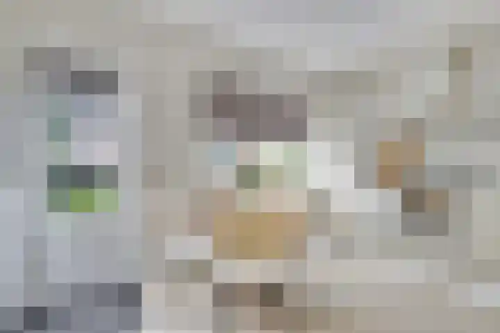 Vioolerf 14 's-Gravendeel thumbnail 12