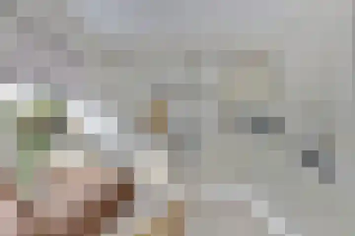 Vioolerf 14 's-Gravendeel thumbnail 13