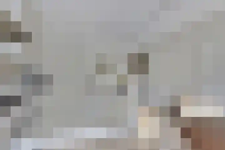 Vioolerf 14 's-Gravendeel thumbnail 14