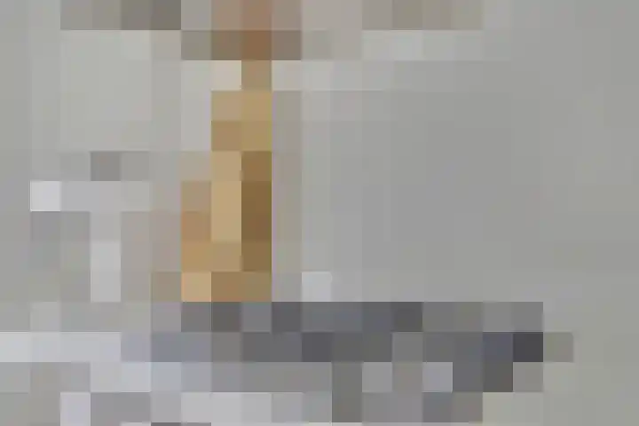 Vioolerf 14 's-Gravendeel thumbnail 15