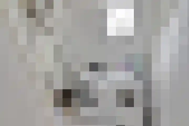 Vioolerf 14 's-Gravendeel thumbnail 29