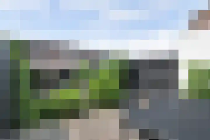 Vioolerf 14 's-Gravendeel thumbnail 30