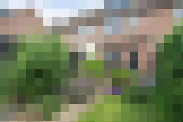 Vioolerf 14 's-Gravendeel thumbnail 31