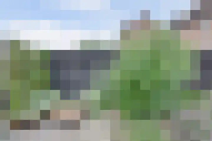 Vioolerf 14 's-Gravendeel thumbnail 32