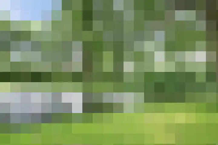 Vioolerf 14 's-Gravendeel thumbnail 35